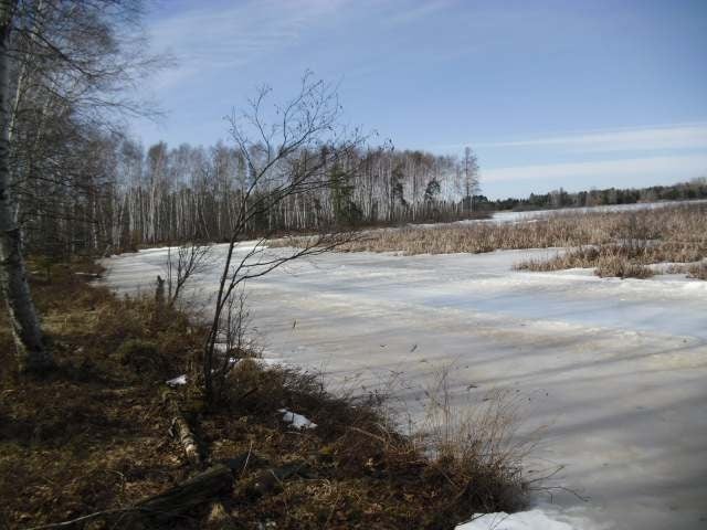 On Thunder Bay Road Tomahawk, WI 54487 - Photo 16 of 19 Gallery Image 16