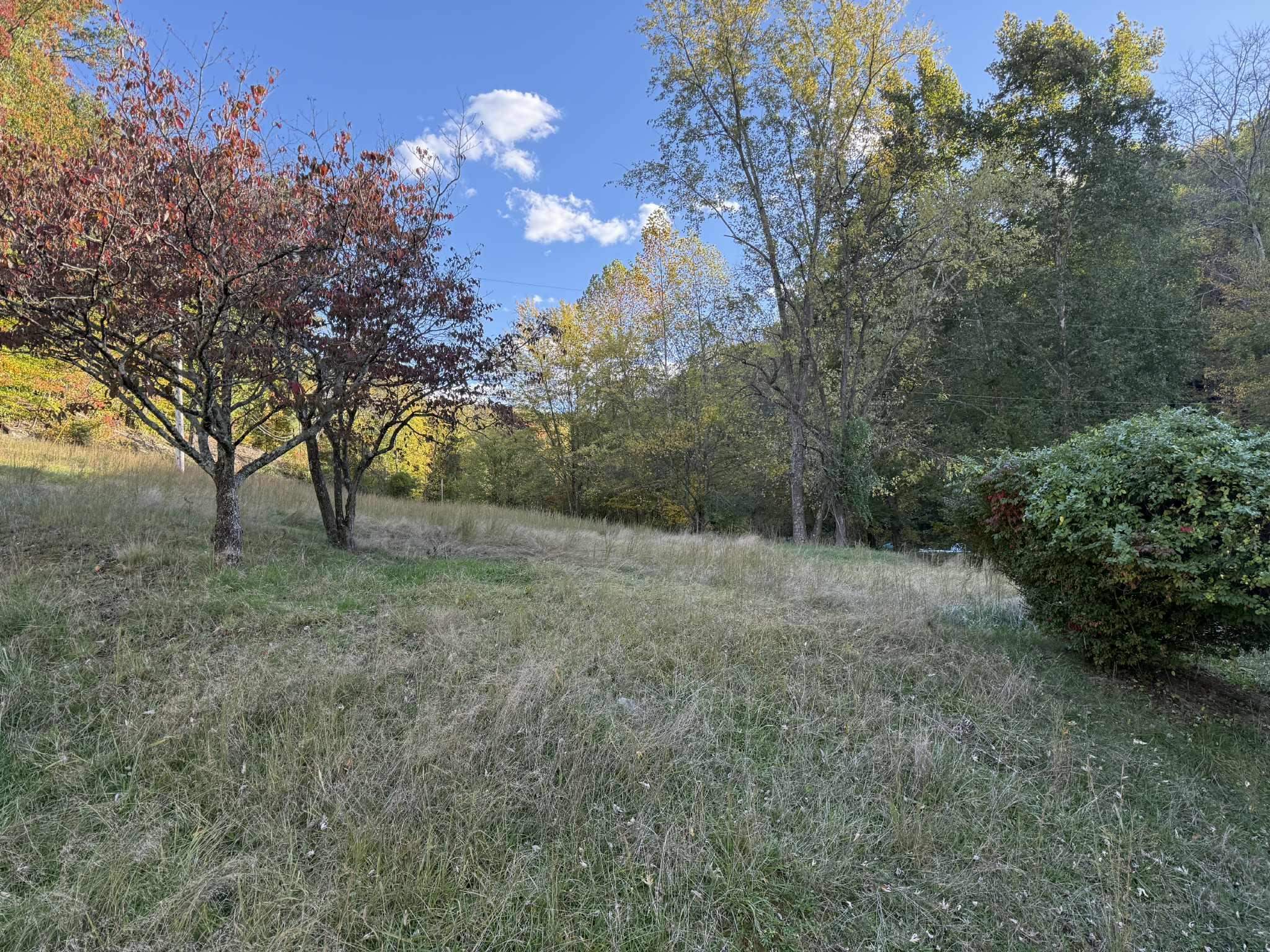 1100 West Price Branch Road Ashland, KY 41102 - Photo 16 of 16