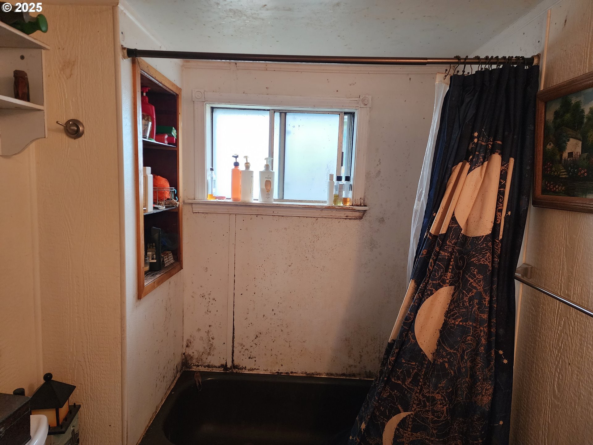 2345 F Street Springfield, OR 97477 - Photo 14 of 20 a view of walk in closet