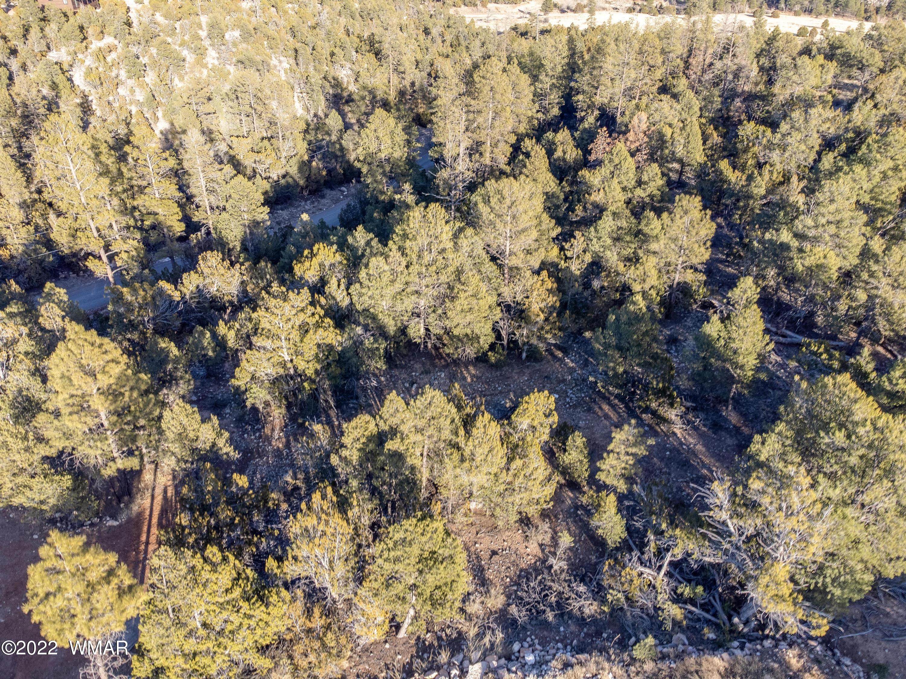 1689 Hill Road Heber, AZ 85928 - Photo 11 of 13 Gallery Image 11