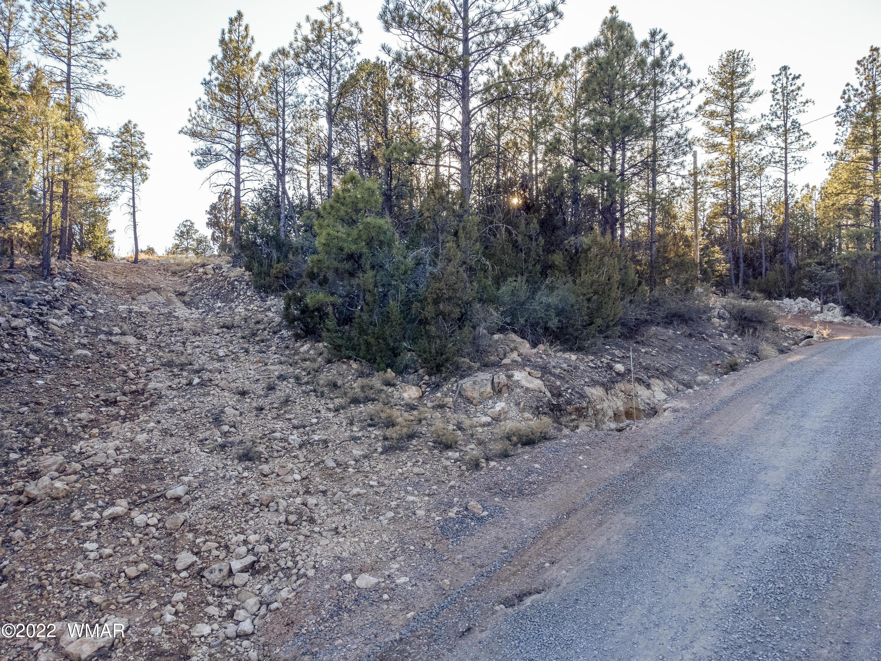 1689 Hill Road Heber, AZ 85928 - Photo 13 of 13 Gallery Image 13