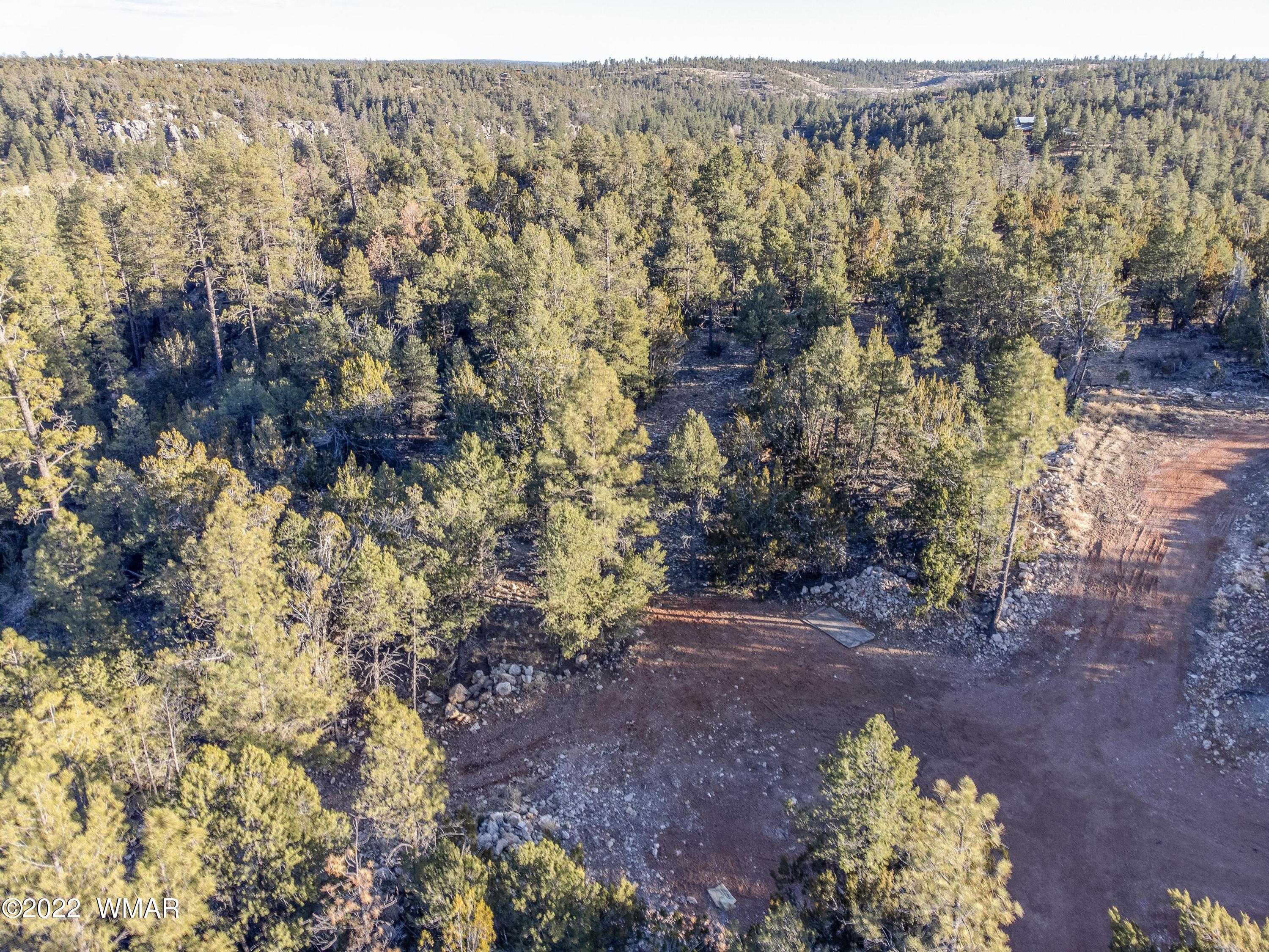 1689 Hill Road Heber, AZ 85928 - Photo 8 of 13 Gallery Image 8