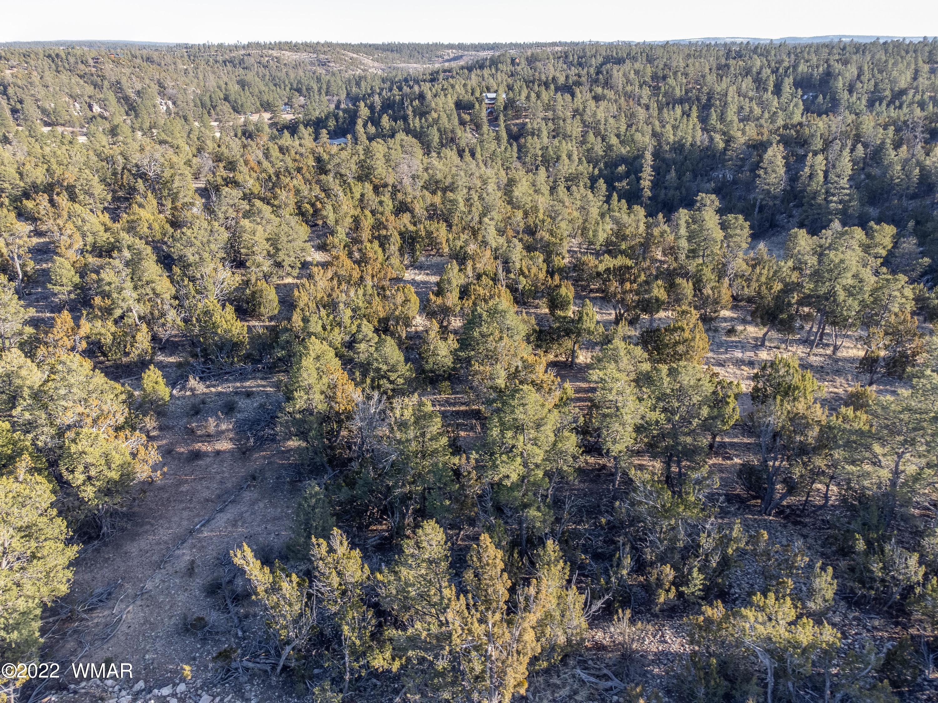 1689 Hill Road Heber, AZ 85928 - Photo 9 of 13 Gallery Image 9