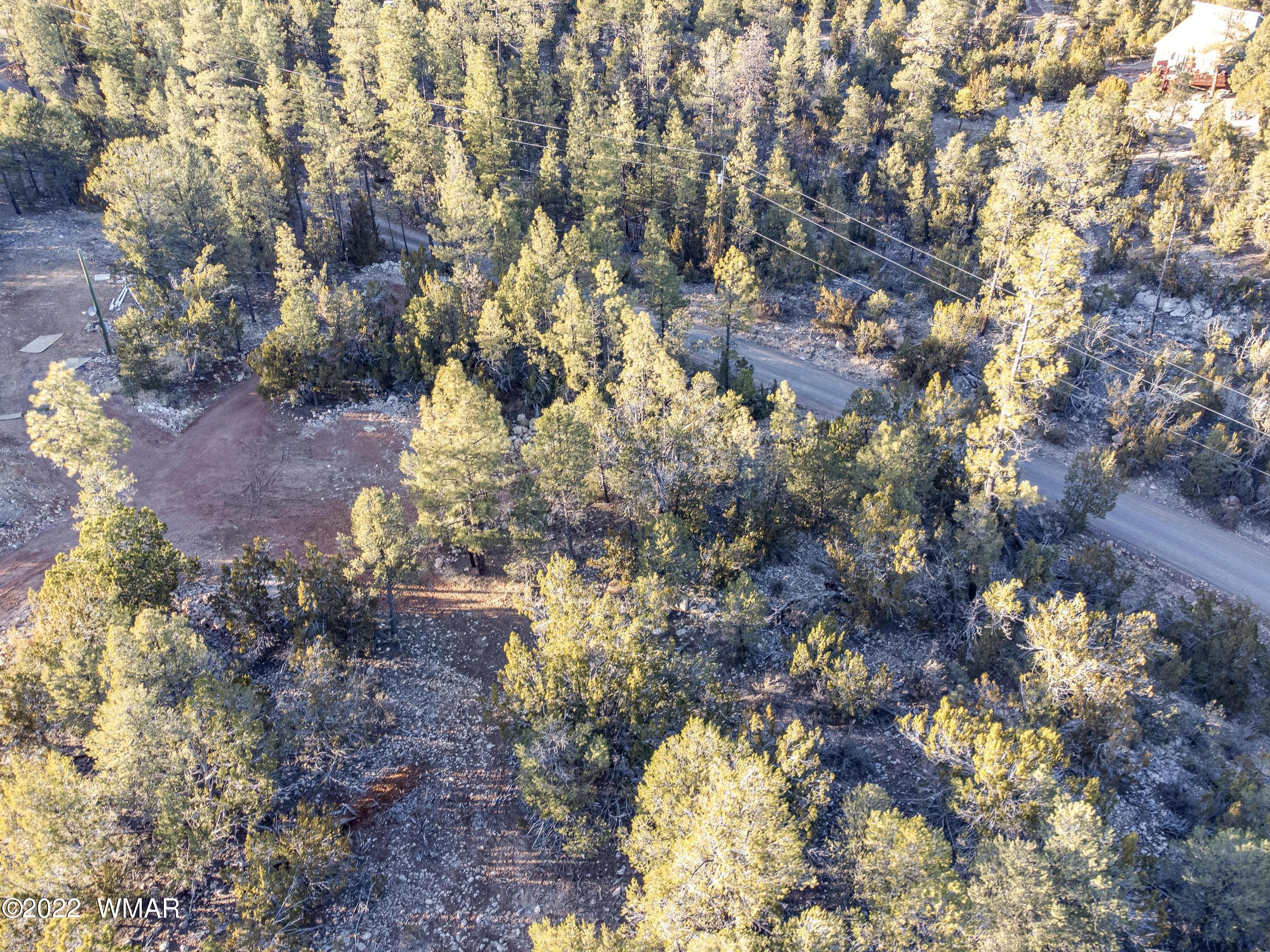 1689 Hill Road Heber, AZ 85928 - Photo 10 of 13 Gallery Image 10
