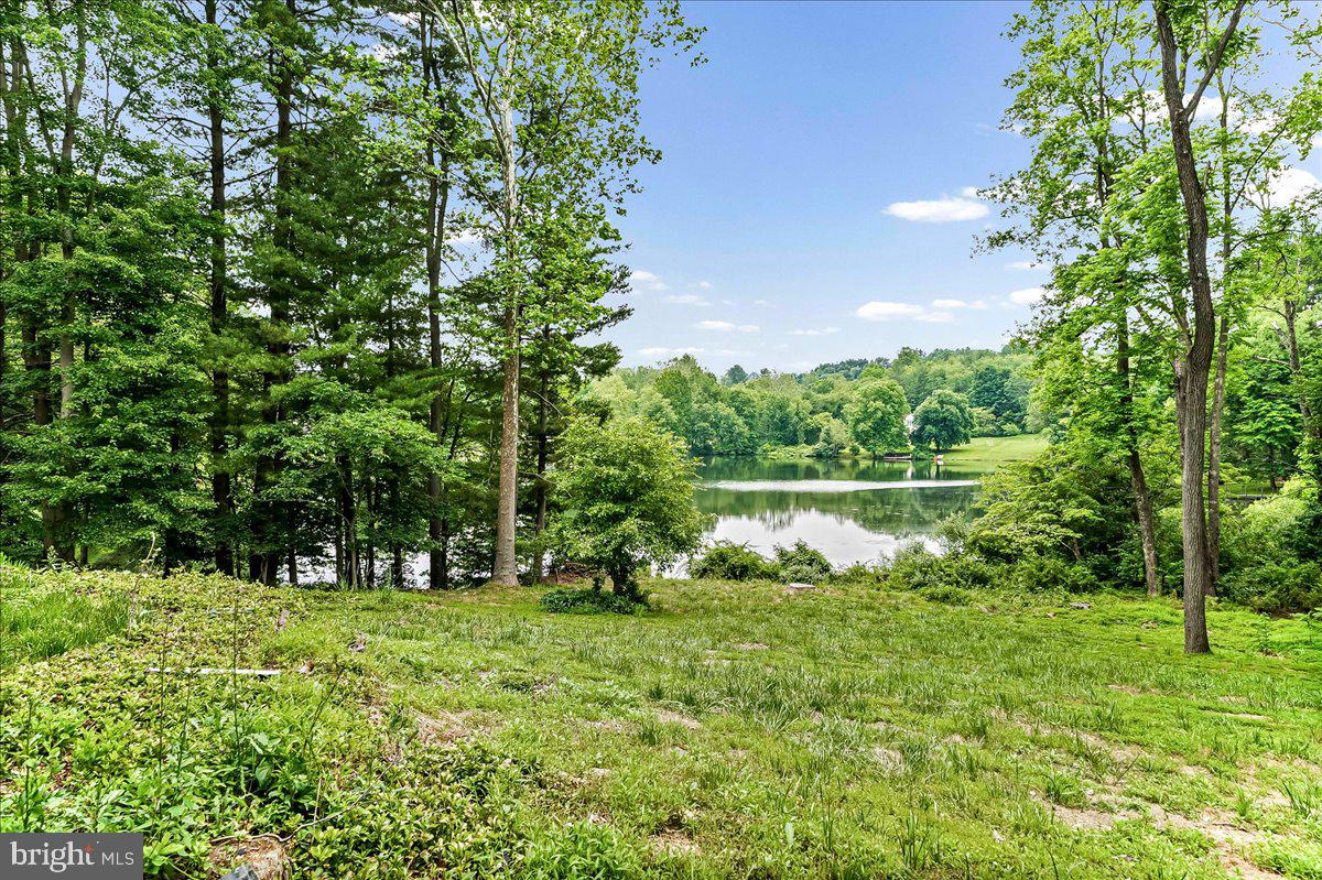 70 Heyburn Road Chadds Ford, PA 19317 - Photo 15 of 46 Back Yard