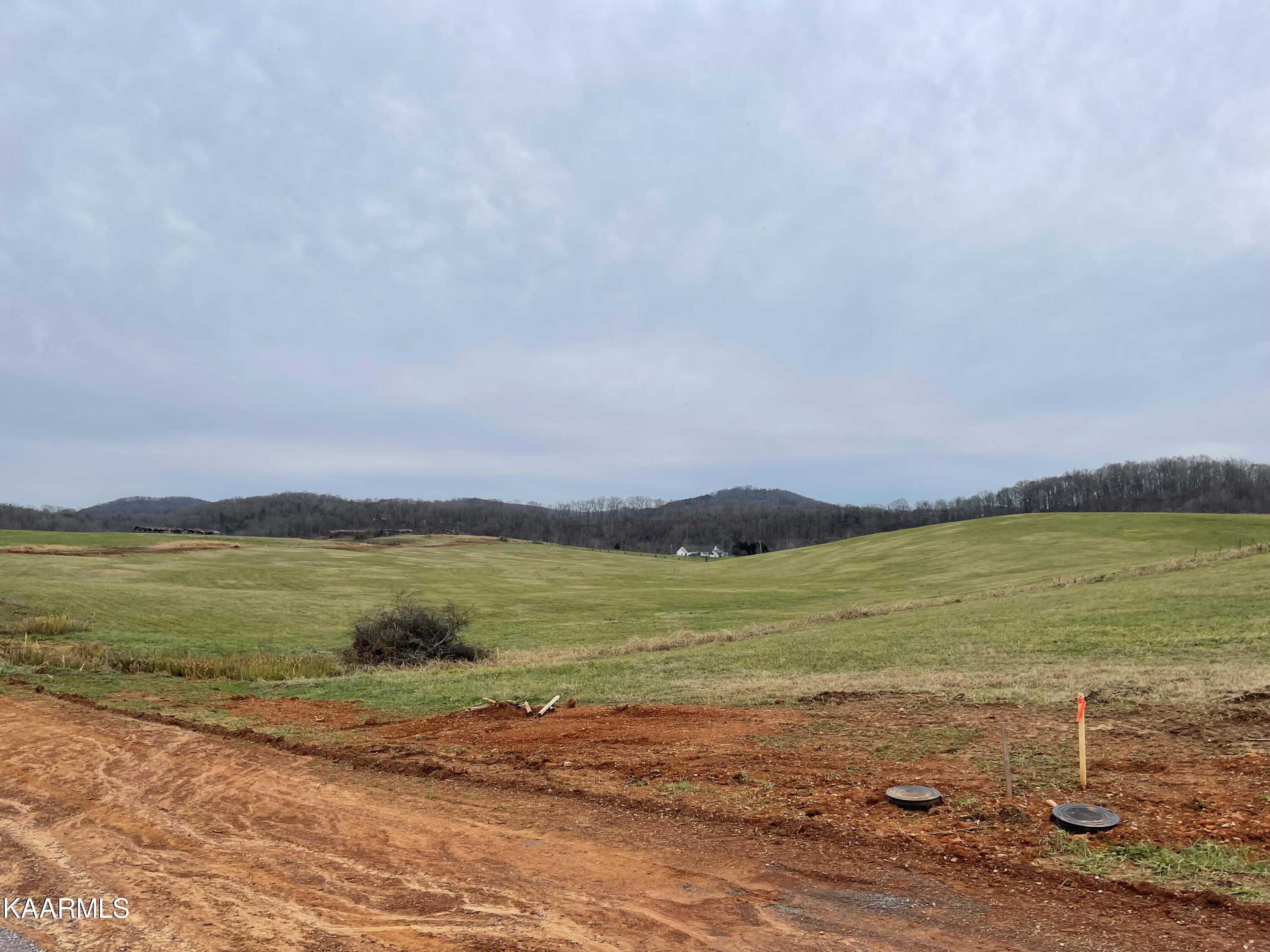 Lot 2 Howell River Road Rutledge, TN 37861 - Photo 3 of 3 IMG_4113