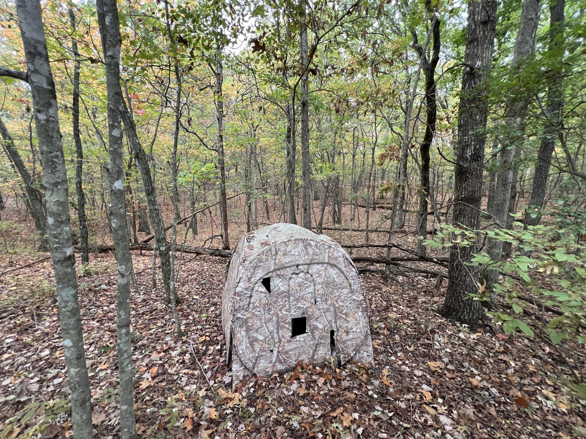 0 South Pittsburg Mountain Road Sewanee, TN 37375 - Photo 21 of 31 Gallery Image 21