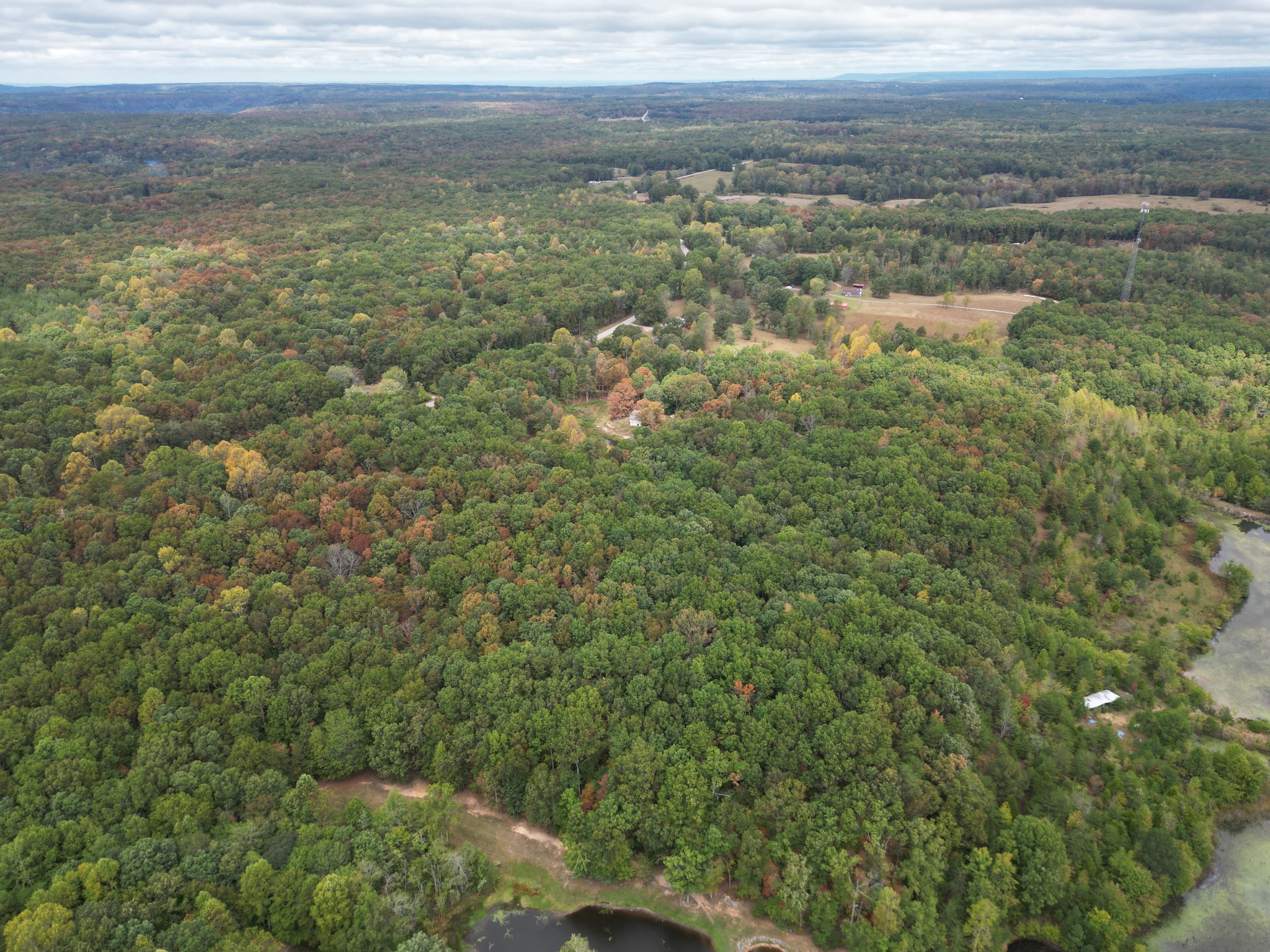 0 South Pittsburg Mountain Road Sewanee, TN 37375 - Photo 8 of 31 Gallery Image 8