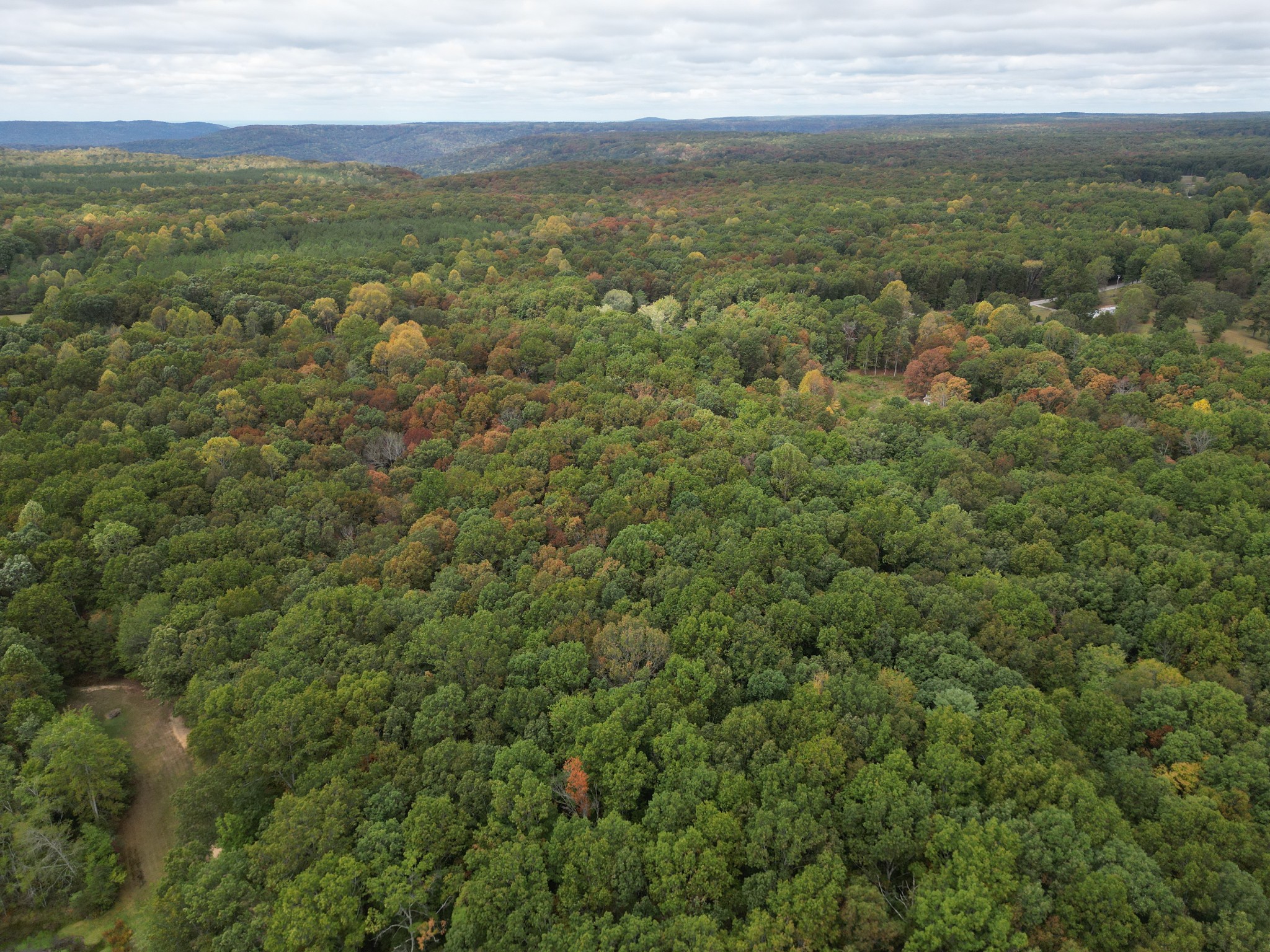 0 South Pittsburg Mountain Road Sewanee, TN 37375 - Photo 10 of 31 Gallery Image 10