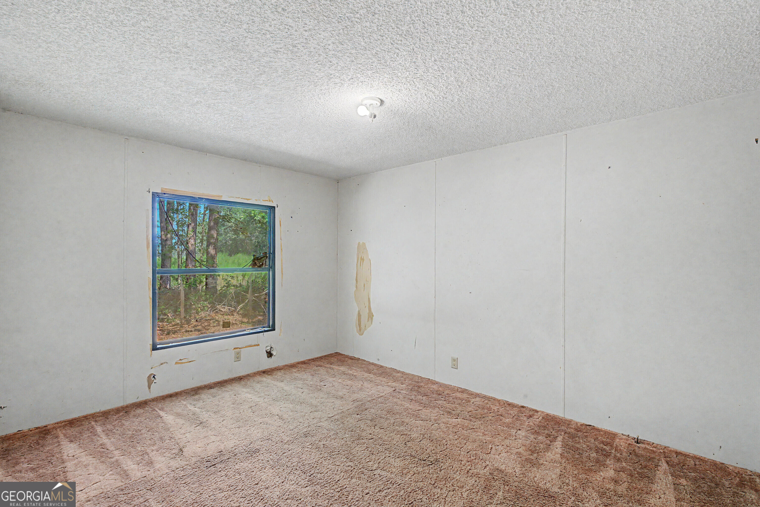 729 Reedsville Road Clyo, GA 31303 - Photo 13 of 41 Gallery Image 13