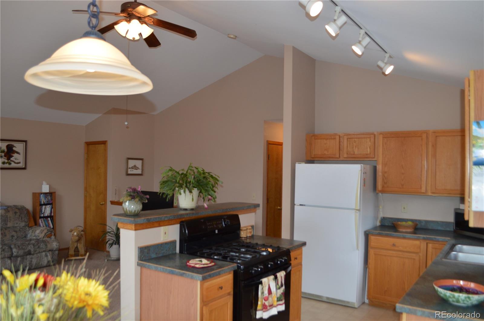 26236 Wilkerson Road Conifer, CO 80433 - Photo 6 of 16 Gallery Image 6