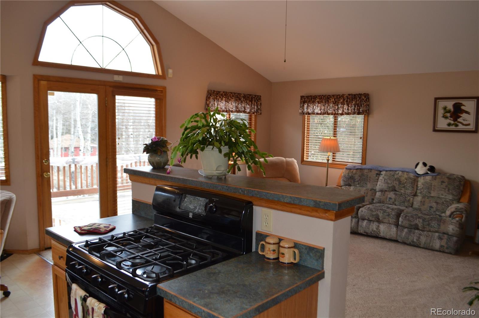 26236 Wilkerson Road Conifer, CO 80433 - Photo 8 of 16 Gallery Image 8