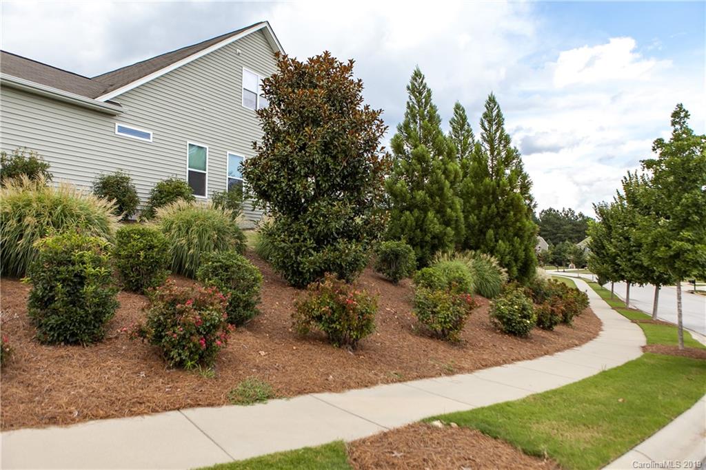 79026 Ridgehaven Road Lancaster, SC 29720 - Photo 3 of 30 a view of a garden with pathway