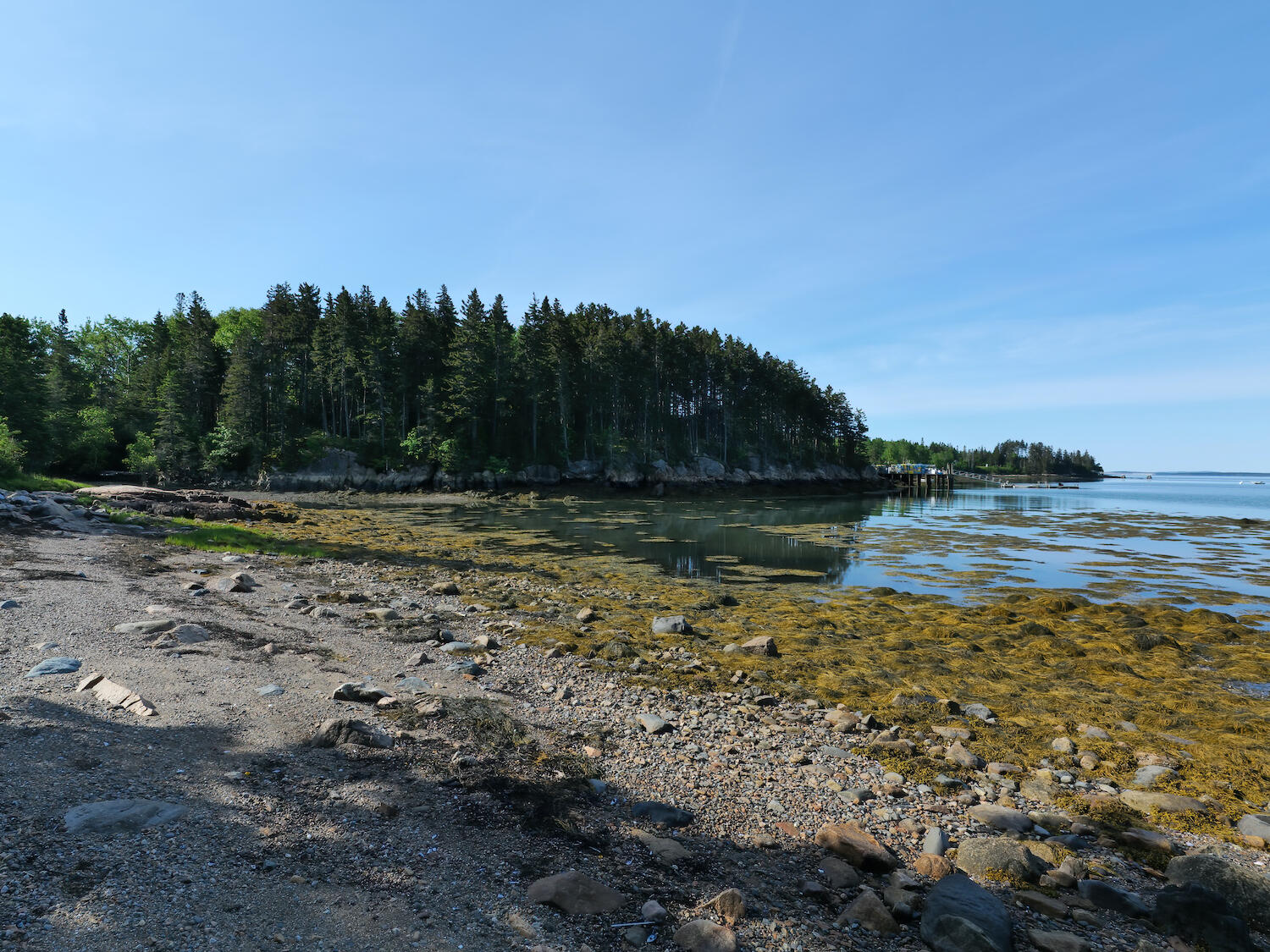 10 Bass Road Tremont, ME 04612 - Photo 8 of 37 41-258 Clark Point Road 2-DTP