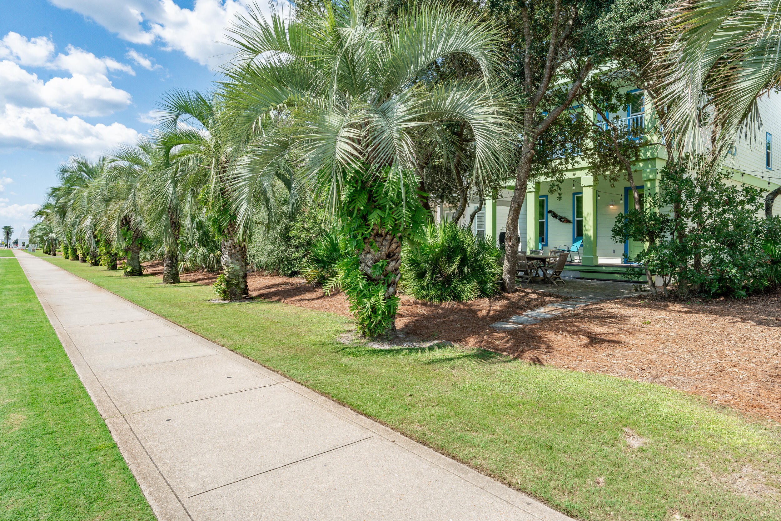 34 Blue Dolphin Loop Inlet Beach, FL 32461 - Photo 7 of 45 a view of backyard with green space
