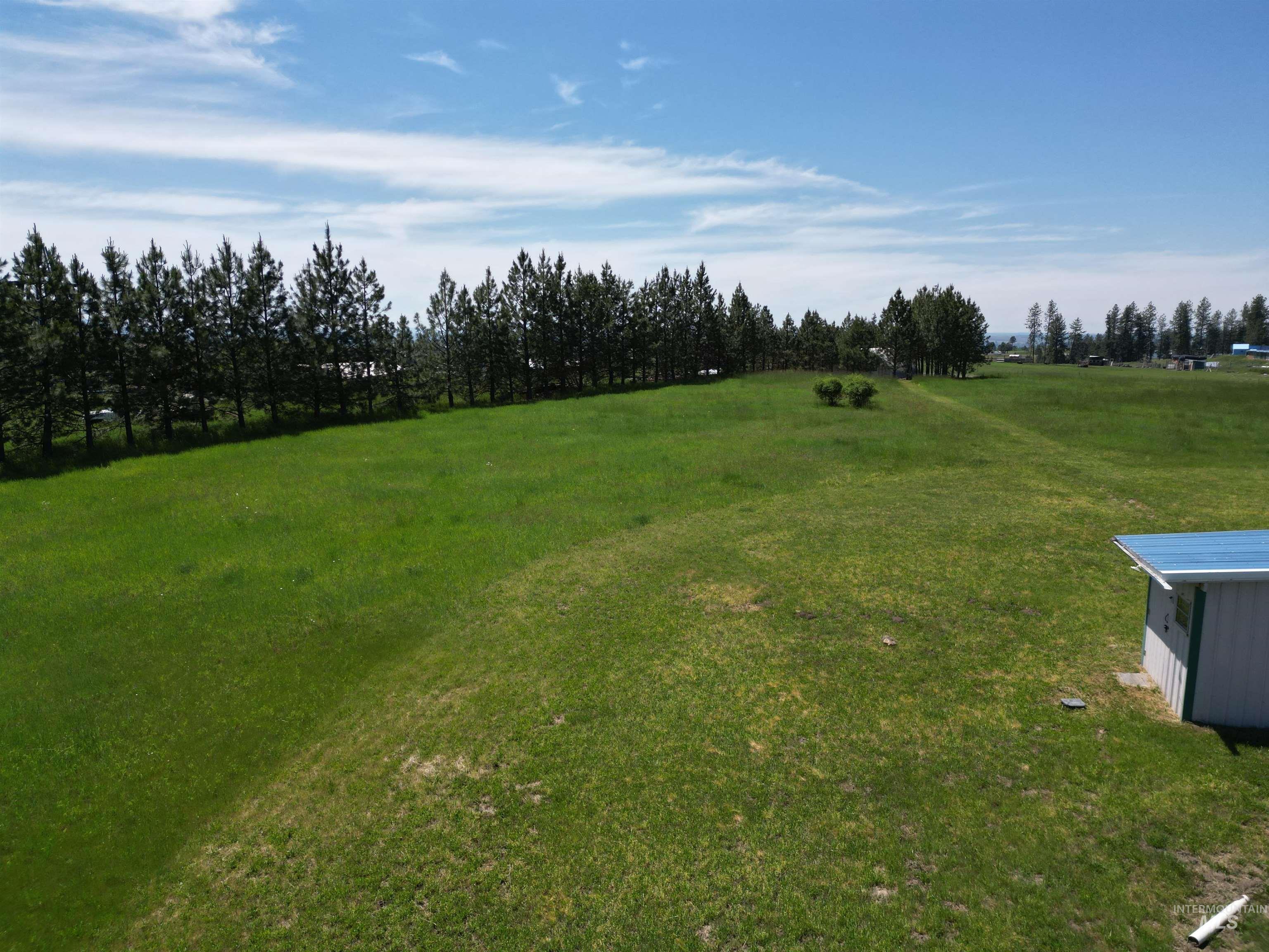 135 Harrisburg Road Kamiah, ID 83536 - Photo 33 of 41 Expansive green landscape featuring a tree line, distant scattered trees, and a utility shed with a blue metal roof