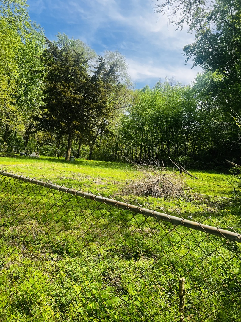 0 East Cedar Street St. Anne, IL 60964 - Photo 2 of 9 a view of a field with an trees
