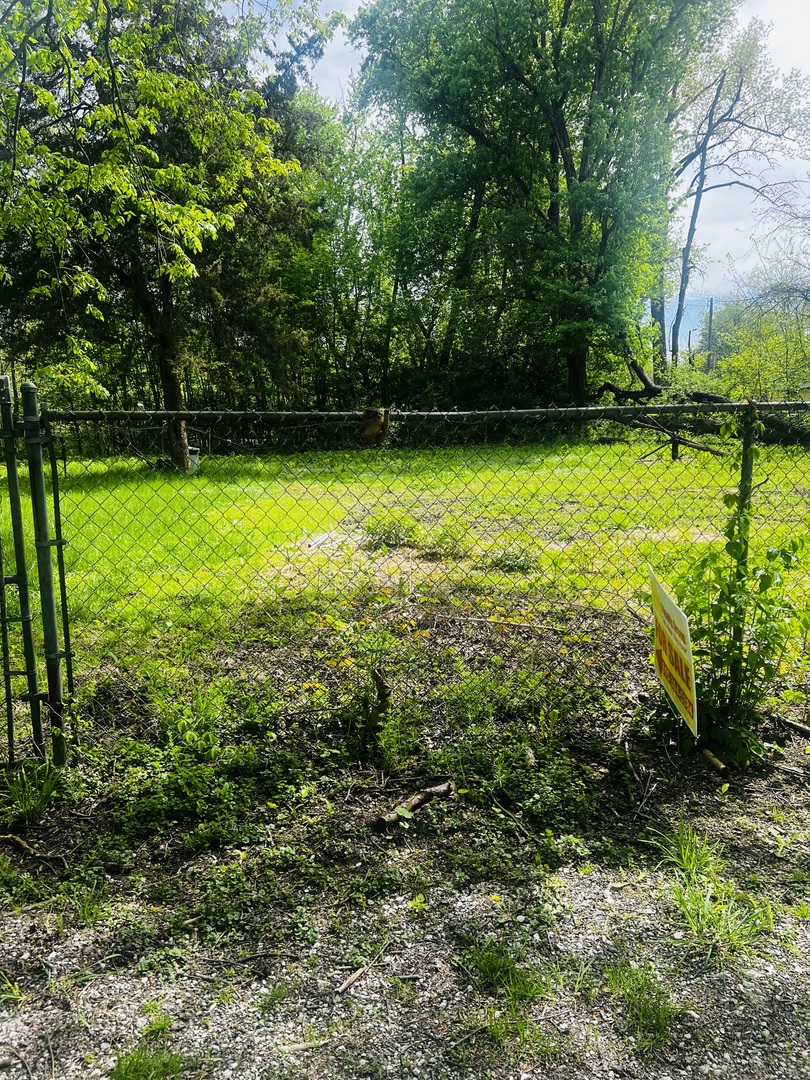0 East Cedar Street St. Anne, IL 60964 - Photo 9 of 9 a view of a yard with a tree