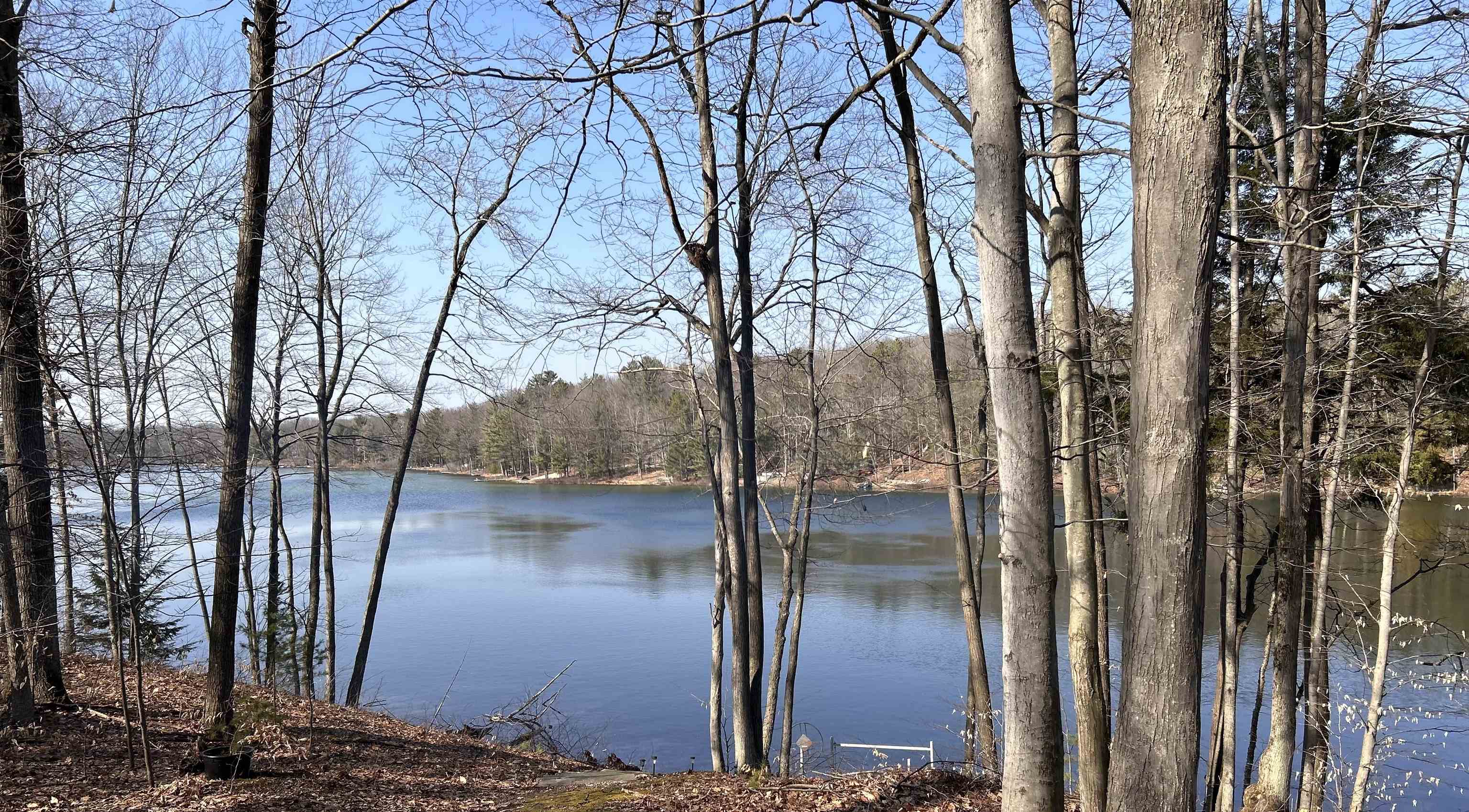 0 Heather Ridge Trail, Unit LOT 6 Beulah, MI 49617 - Photo 7 of 23