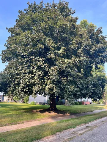 $169,900 | 537 East Ronning Avenue, Appleton, MN 56208