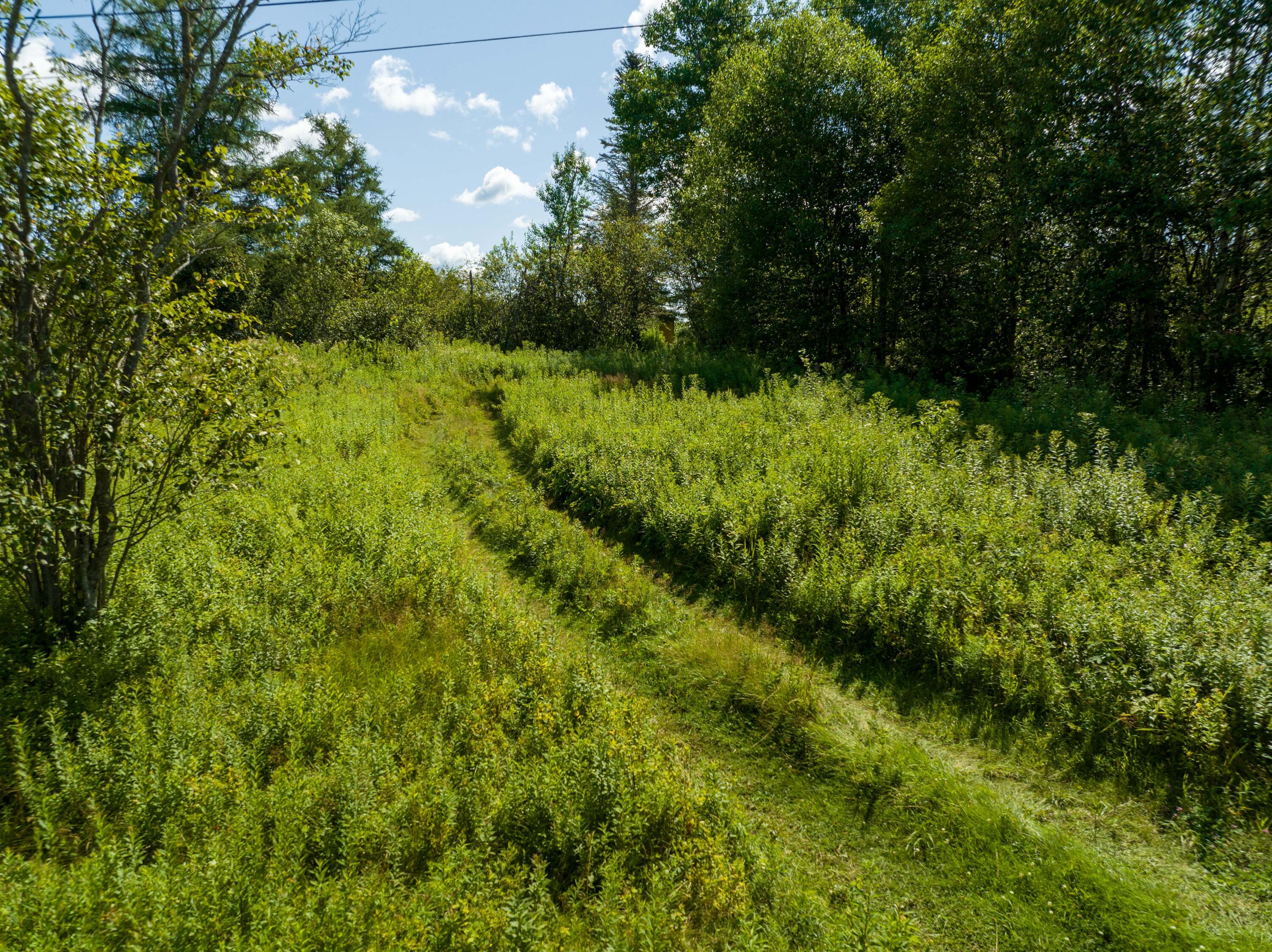 841 Cutler Road Machiasport, ME 04655 - Photo 160 of 181