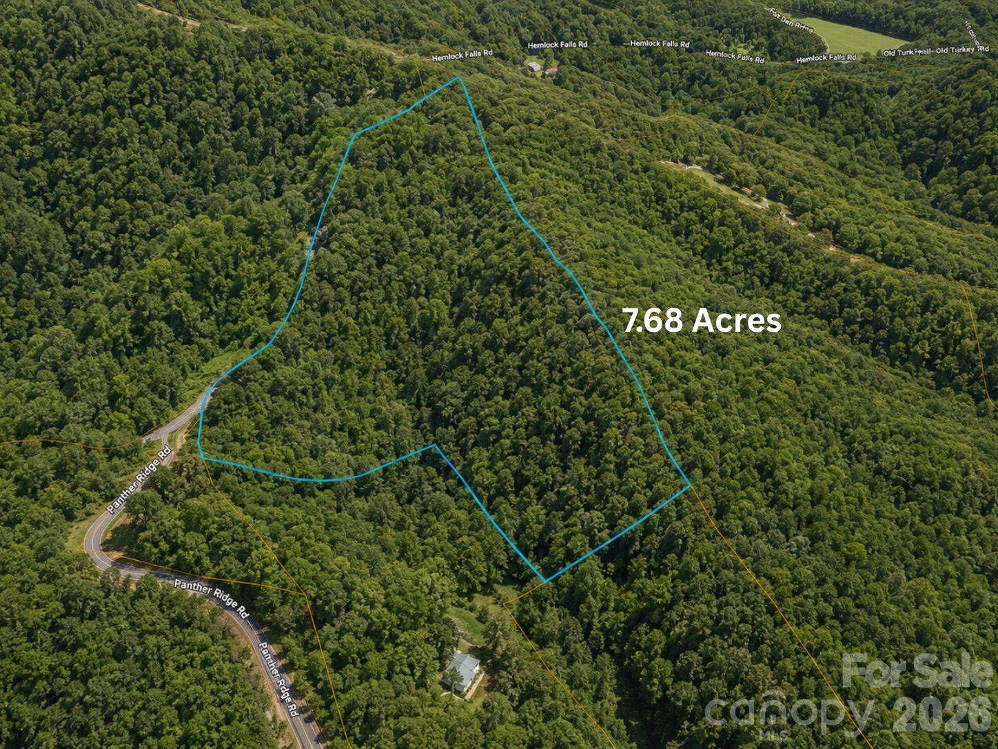 1 Panther Ridge Road Franklin, NC 28734 - Photo 3 of 14