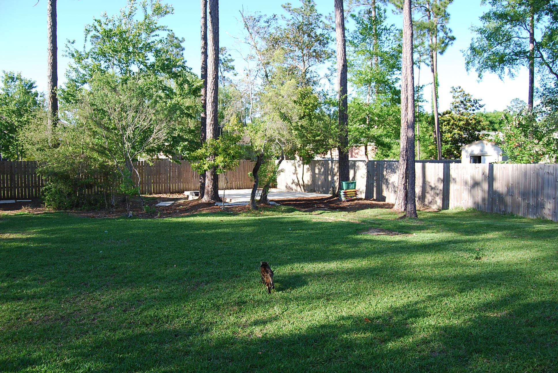 4461 Kingslynn Road Niceville, FL 32578 - Photo 38 of 38 a view of a park with a tree