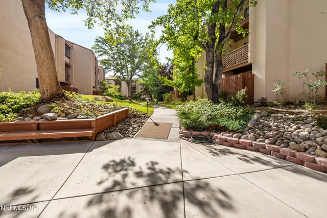 a view of a backyard with chairs and plants