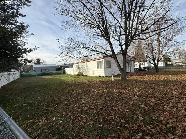 a view of yard with tree