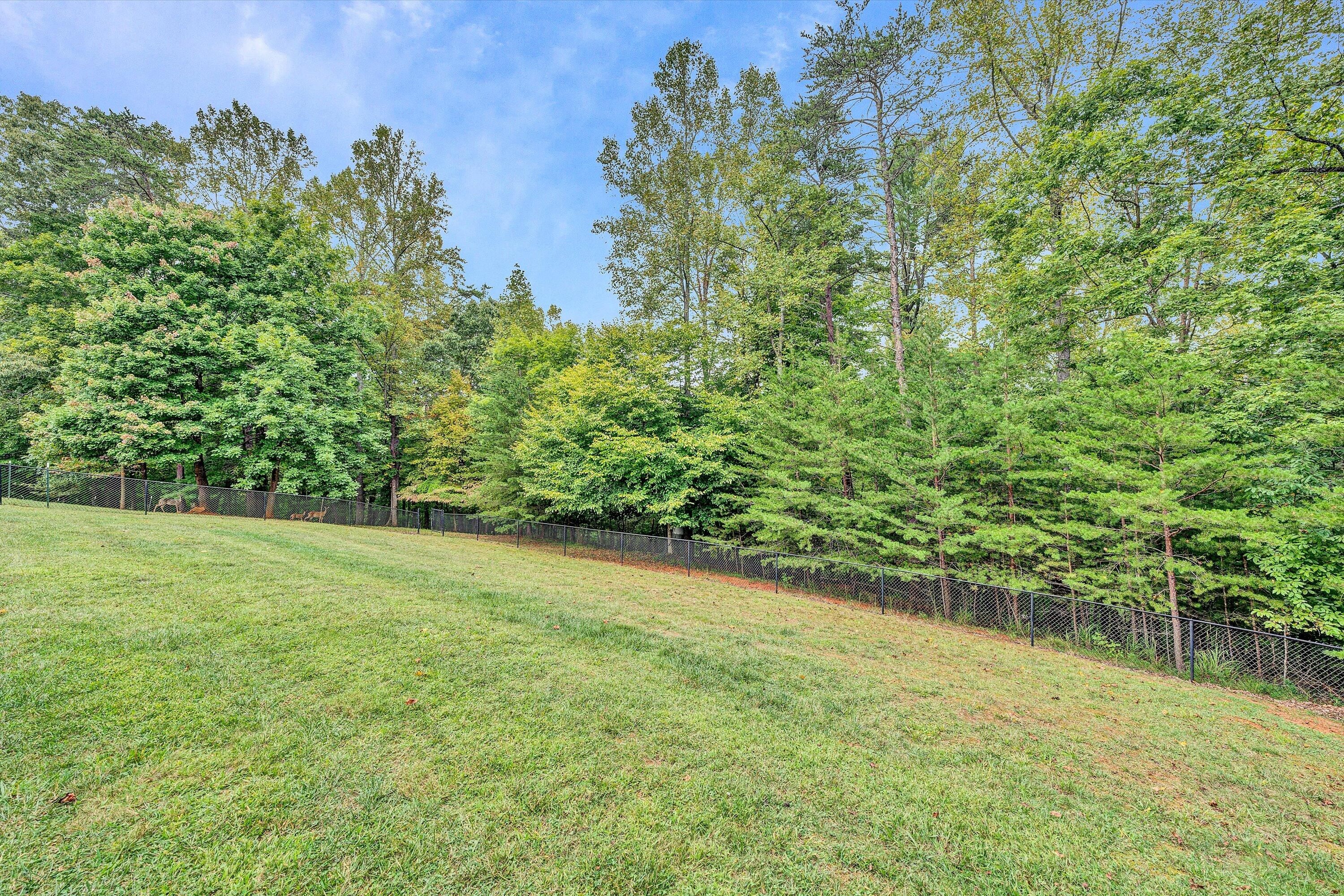 4828 Hardy Road Hardy, VA 24101 - Photo 35 of 49 31-091320240106