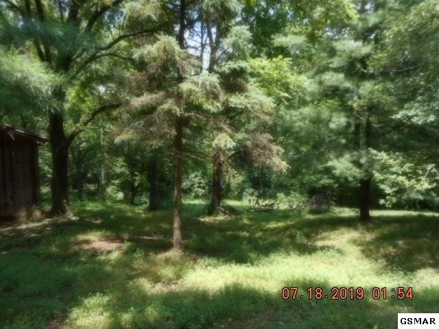 3638 Big Springs Ridge Road Friendsville, TN 37737 - Photo 11 of 31 Gallery Image 11