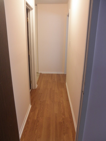 725 West Huntington Commons Road, Unit 105 Mount Prospect, IL 60056 - Photo 17 of 22