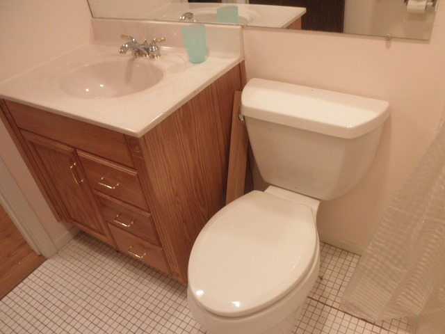 725 West Huntington Commons Road, Unit 105 Mount Prospect, IL 60056 - Photo 21 of 22