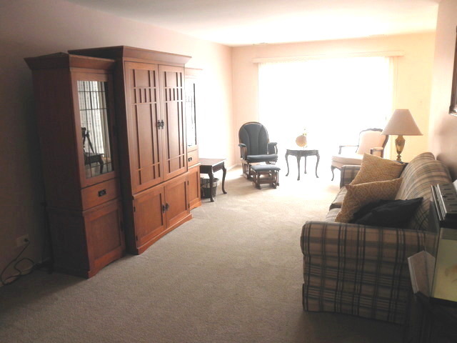 725 West Huntington Commons Road, Unit 105 Mount Prospect, IL 60056 - Photo 4 of 22