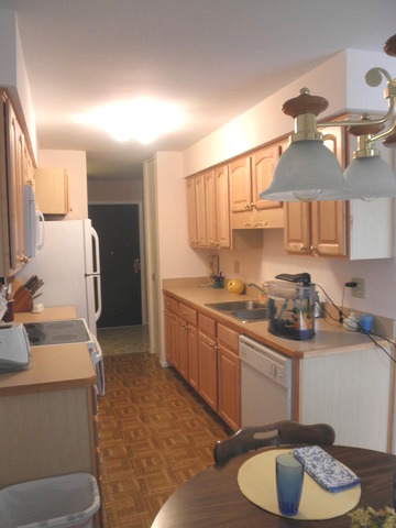 725 West Huntington Commons Road, Unit 105 Mount Prospect, IL 60056 - Photo 9 of 22