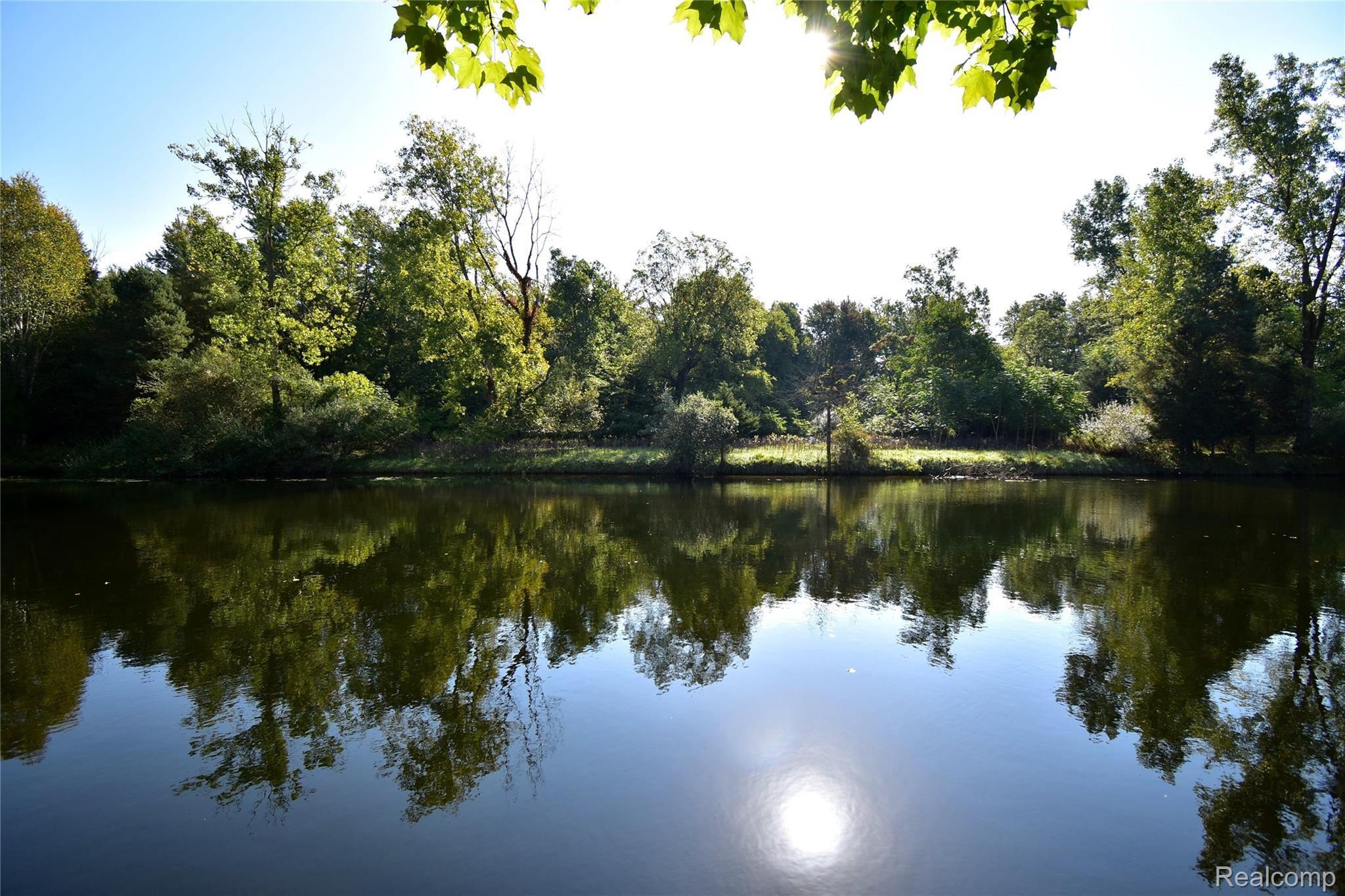 9300 Mcgregor Road Pinckney, MI 48169 - Photo 9 of 12 10 ACROSS RIVER.JPG