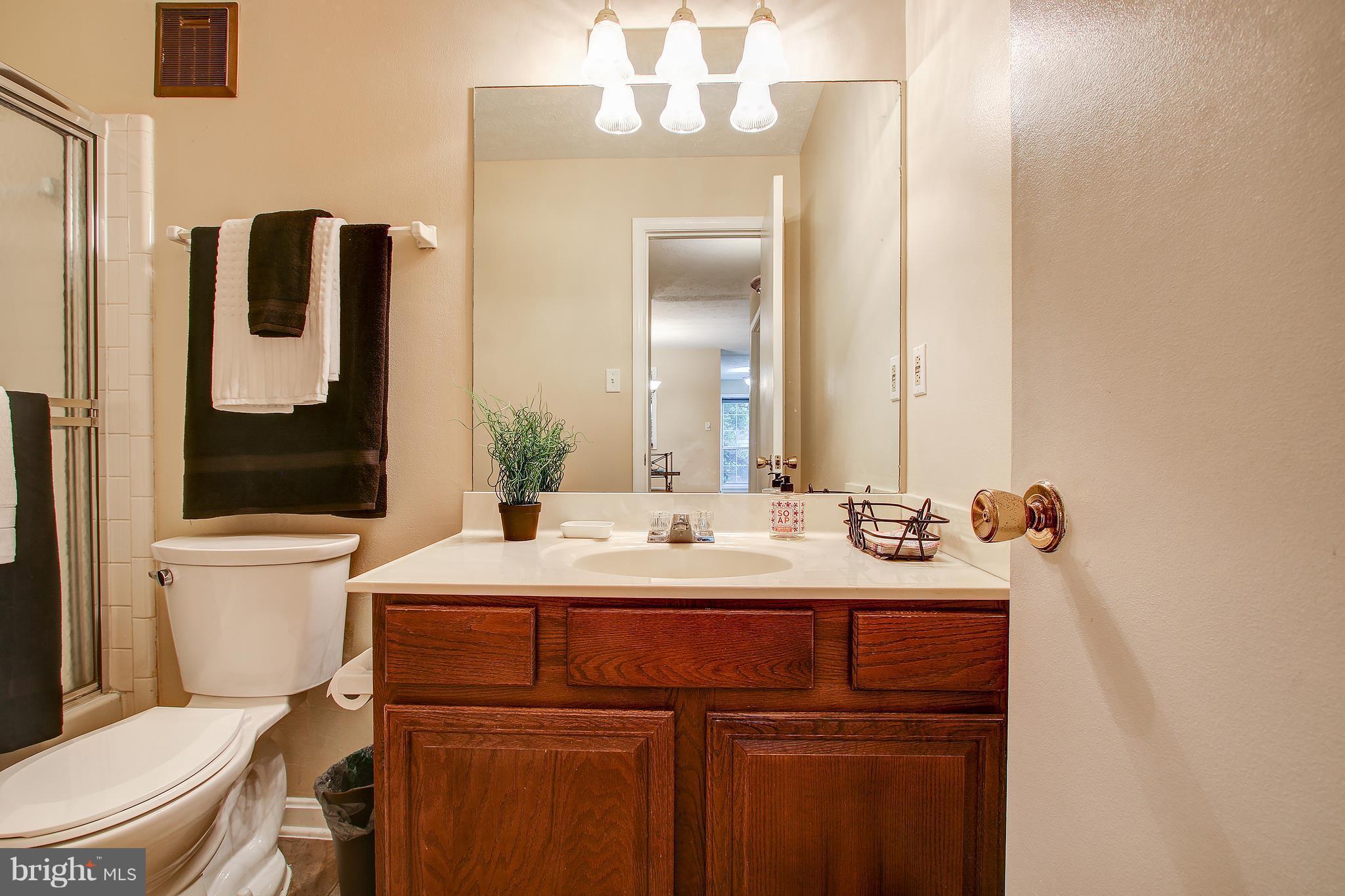 10188 Oakton Terrace Road, Unit 10188 Oakton, VA 22124 - Photo 22 of 30 Second Bathroom on Main Level