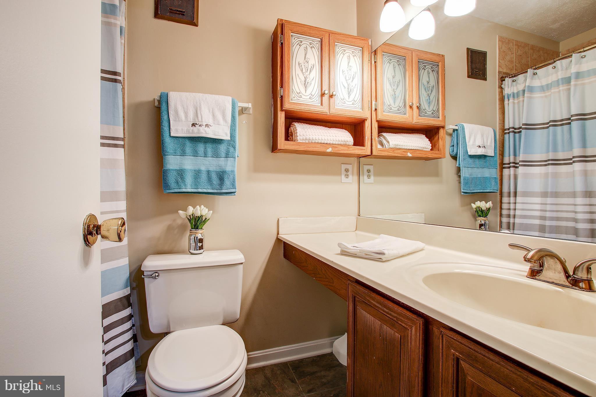10188 Oakton Terrace Road, Unit 10188 Oakton, VA 22124 - Photo 26 of 30 Master Bathroom