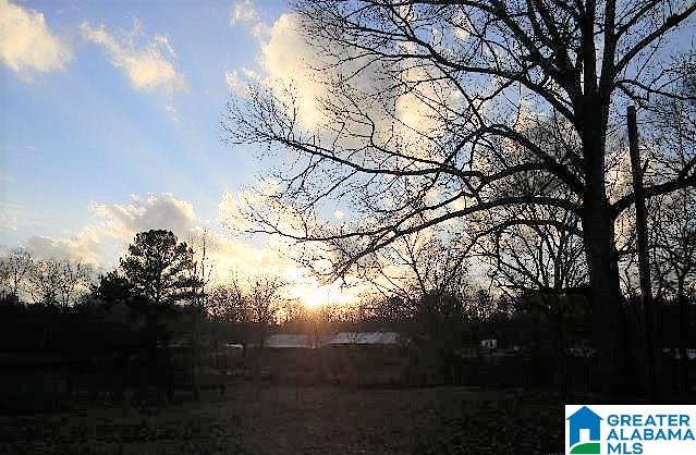 151 Glenn Road Wilsonville, AL 35186 - Photo 28 of 34