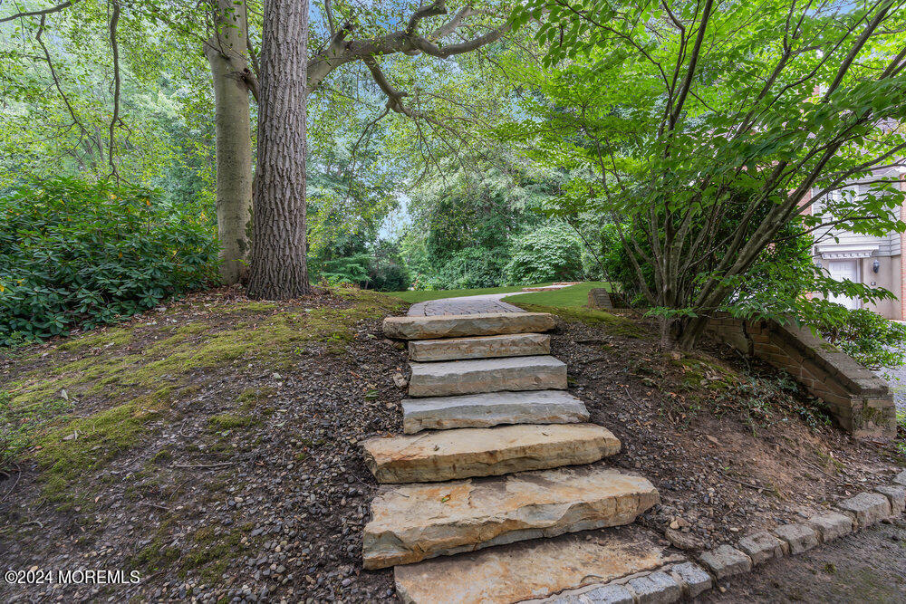 7 Shadow Ridge Court Holmdel, NJ 07733 - Photo 38 of 42 dsc07362-1_787