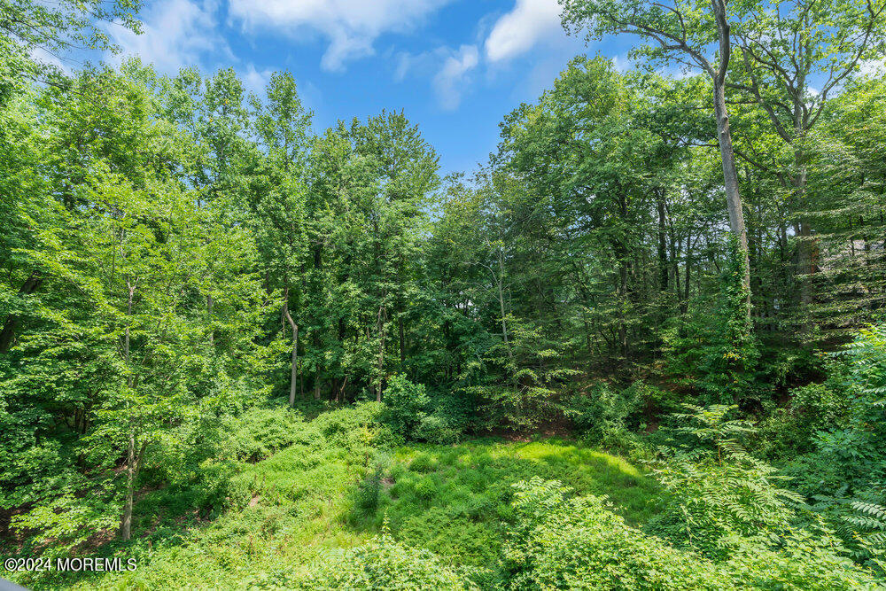 7 Shadow Ridge Court Holmdel, NJ 07733 - Photo 39 of 42 dsc07242_788