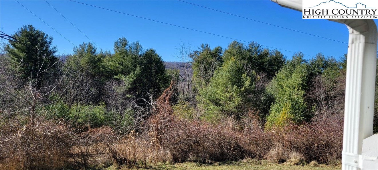 355 Round Knob Church Road West Jefferson, NC 28694 - Photo 22 of 23 a view of a yard