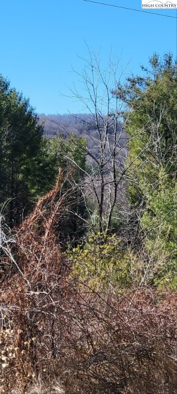 355 Round Knob Church Road West Jefferson, NC 28694 - Photo 23 of 23 a view of a yard with plants and a bench