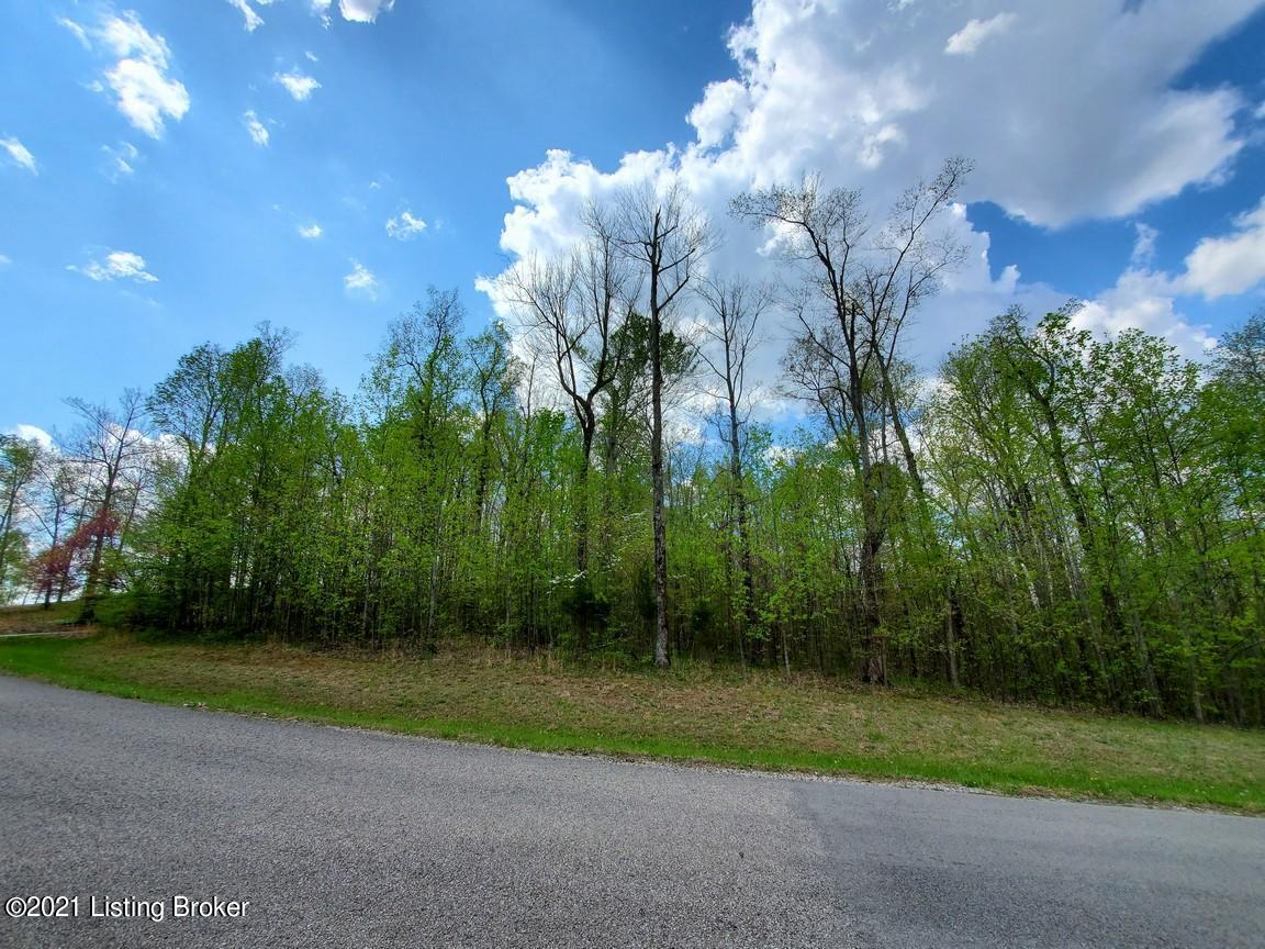 67 R Patriots Landing Lane Falls Of Rough, KY 40119 - Photo 5 of 15 5
