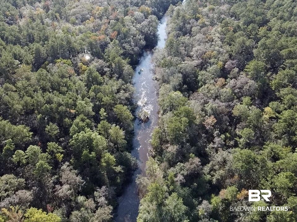 0 Country Road Vinegar Bend, AL 36584 - Photo 23 of 46