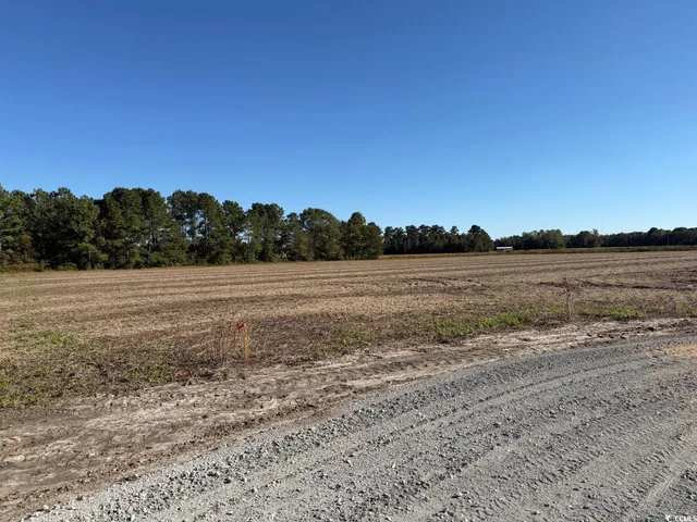 $55,000 | Tbd Tbd Kc Lane, Aynor, SC 29511