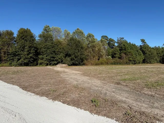 $55,000 | Tbd Tbd Kc Lane, Aynor, SC 29511