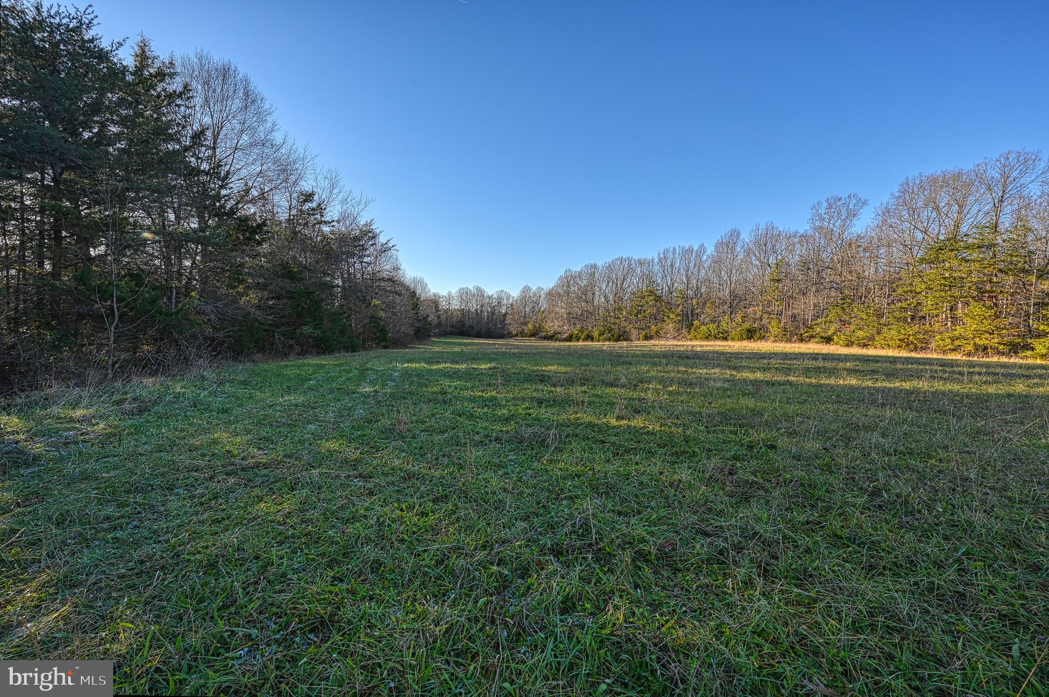 2243 Chalklevel Road Louisa, VA 23093 - Photo 44 of 63
