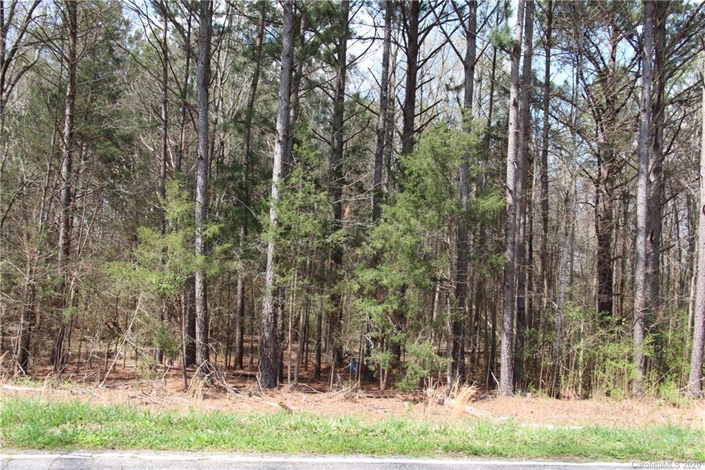 8.749 Hightower Road Fort Lawn, SC 29714 - Photo 1 of 3 Gallery Image 1