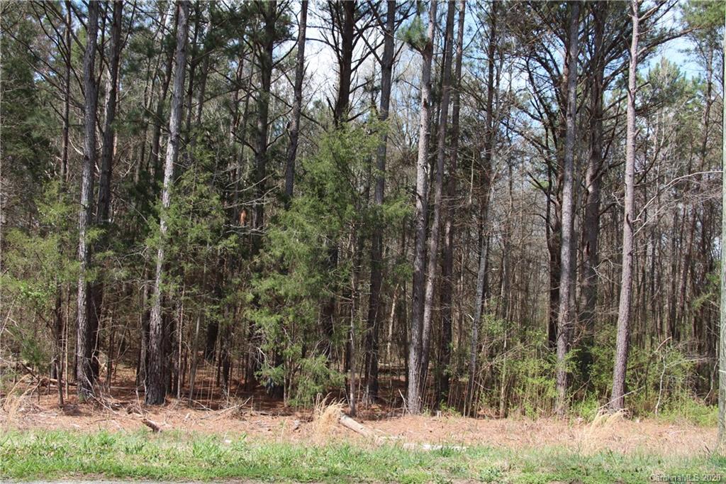 8.749 Hightower Road Fort Lawn, SC 29714 - Photo 2 of 3 Gallery Image 2